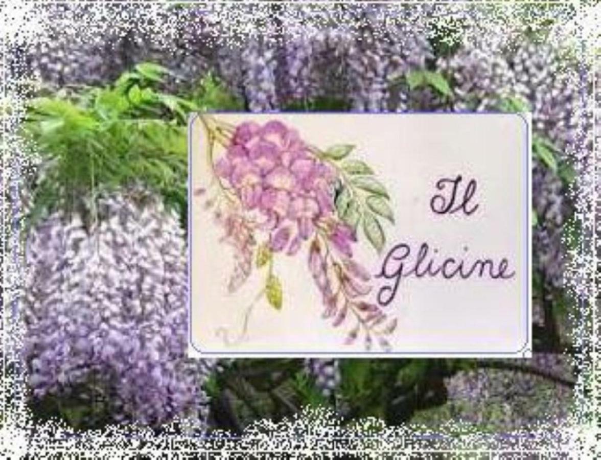 Il Glicine Di Lucca Exterior foto